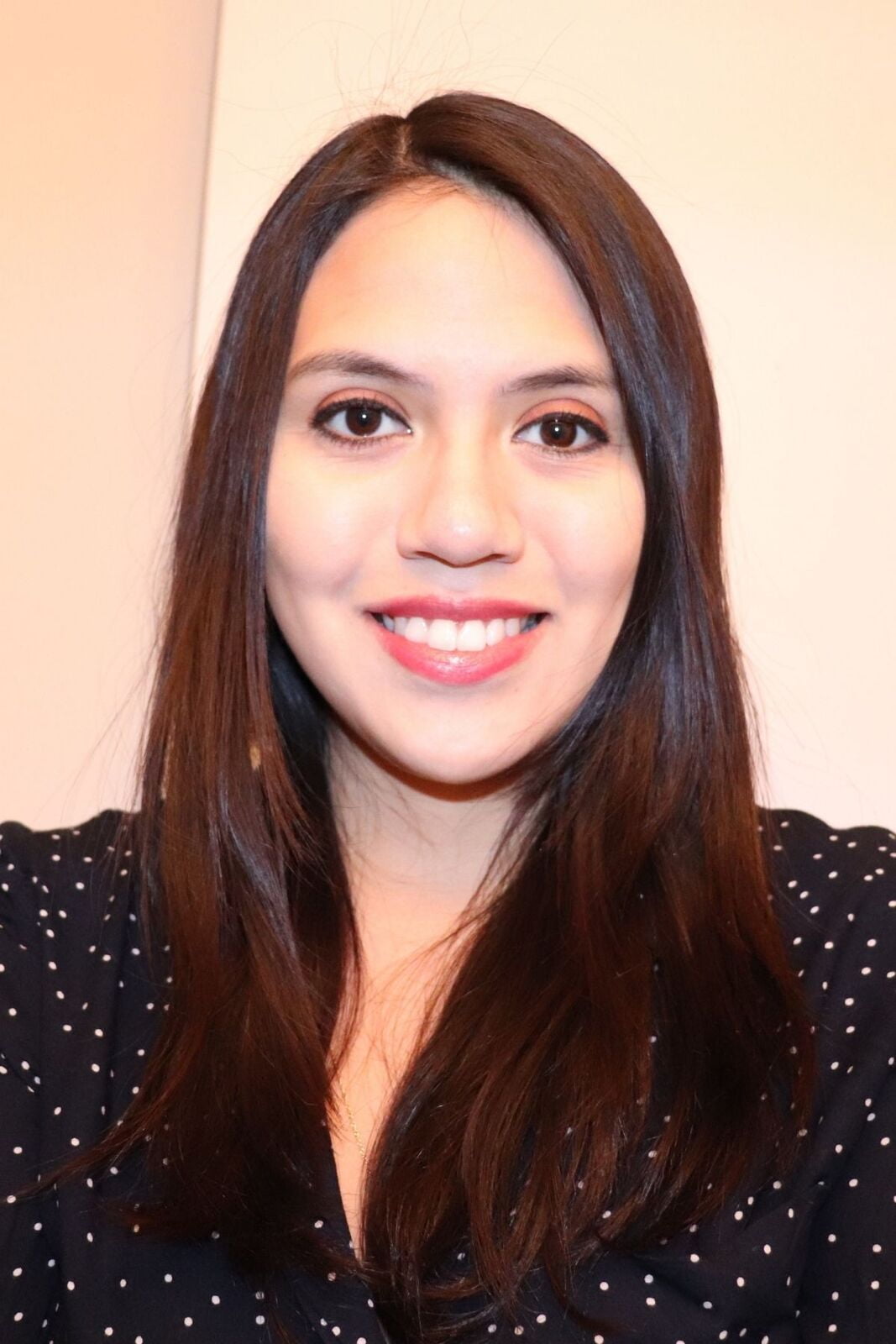 Ali Mehrkish | PhD Candidate