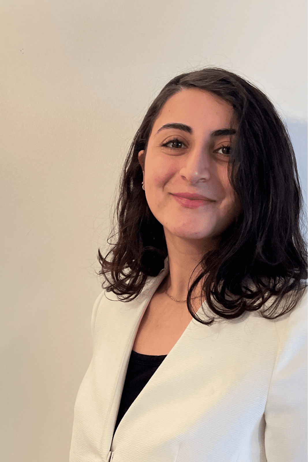 Ali Mehrkish | PhD Candidate